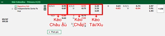 bảng kèo trận đấu Deportivo Cali vs Independiente Santa Fe
