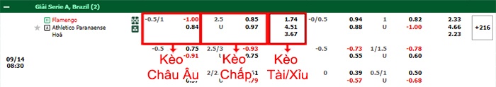 bảng kèo trận đấu Flamengo vs Atletico Paranaense