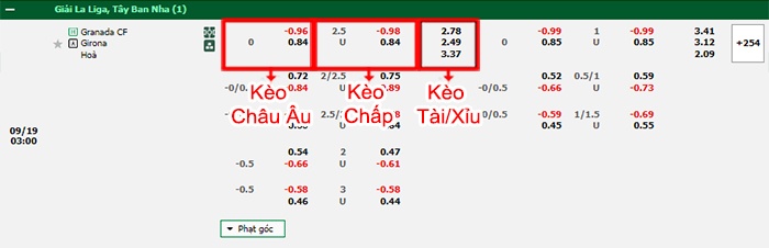 bảng kèo trận đấu Granada vs Girona