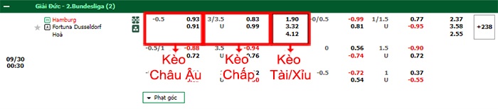 bảng kèo trận đấu Hamburger ss Dusseldorf