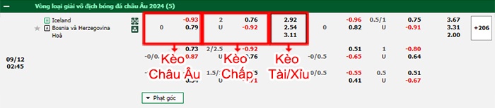 bảng kèo trận đấu Iceland vs Bosnia