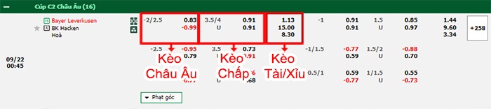 bảng kèo trận đấu Leverkusen vs Hacken