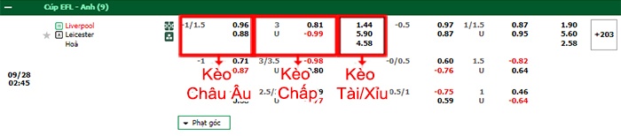 bảng kèo trận đấu Liverpool vs Leicester