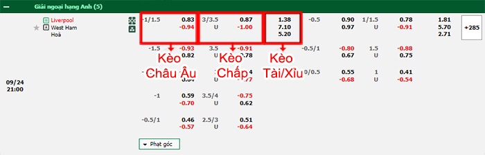 bảng kèo trận đấu Liverpool vs West Ham