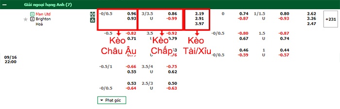 bảng kèo trận đấu MU vs Brighton