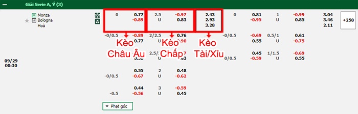 bảng kèo trận đấu Monza vs Bologna