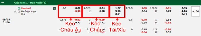 bảng kèo trận đấu Naestved vs HB Koge