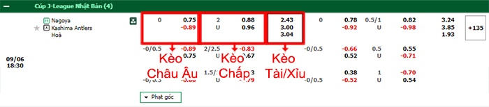 bảng kèo trận đấu Nagoya Grampus vs Kashima Antlers