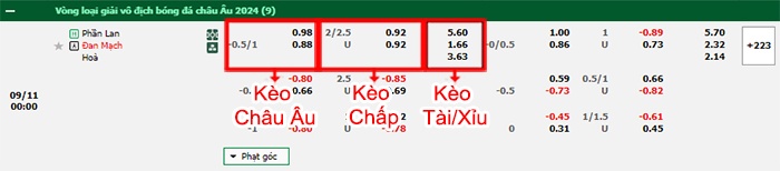 bảng kèo trận đấu Phần Lan vs Đan Mạch