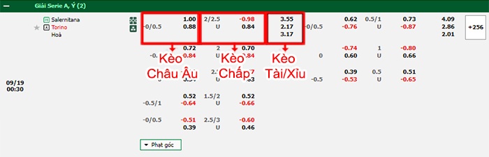 bảng kèo trận đấu Salernitana vs Torino