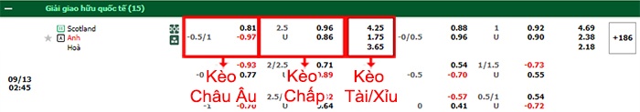 bảng kèo trận đấu Scotland vs Anh