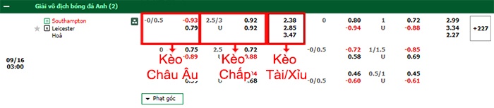 bảng kèo trận đấu Southampton vs Leicester