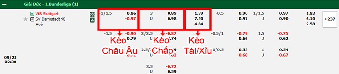 bảng kèo trận đấu Stuttgart vs Darmstadt