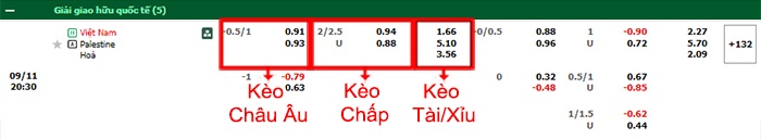 bảng kèo trận đấu Việt Nam vs Palestine