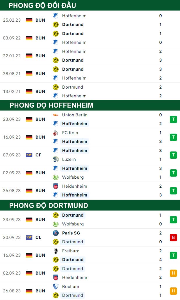thông số đối đầu trận đấu Hoffenheim vs Dortmund