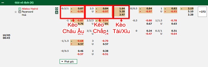 bảng kèo trận đấu Atletico Madrid vs Feyenoord