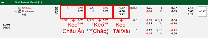 bảng kèo trận đấu Bahia vs Fluminense
