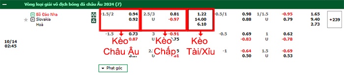 bảng kèo trận đấu Bồ Đào Nha vs Slovakia