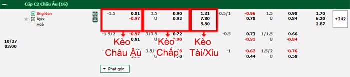 bảng kèo trận đấu Brighton vs Ajax