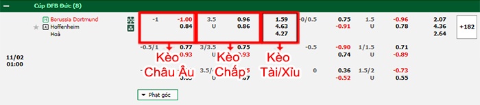 bảng kèo trận đấu Dortmund vs Hoffenheim