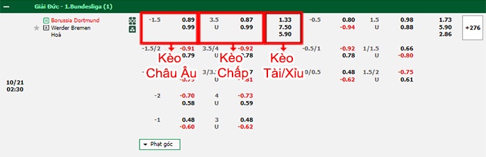 bảng kèo trận đấu Dortmund vs Werder Bremen
