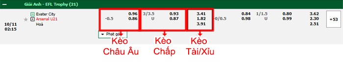 bảng kèo trận đấu Exeter City U21 Arsenal