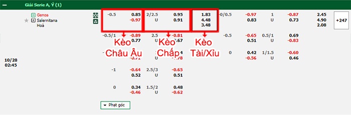 bảng kèo trận đấu Genoa vs Salernitana