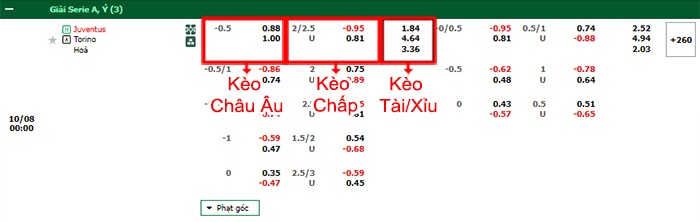 bảng kèo trận đấu Juventus vs Torino