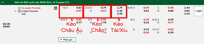 bảng kèo trận đấu Kawasaki Frontale vs Avispa Fukuoka
