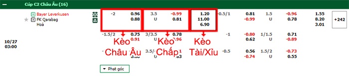 bảng kèo trận đấu Leverkusen vs Qarabag