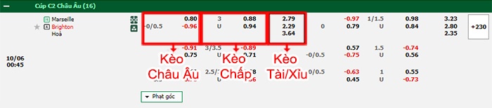 bảng kèo trận đấu Marseille vs Brighton