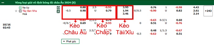 bảng kèo trận đấu Na Uy vs Tây Ban Nha