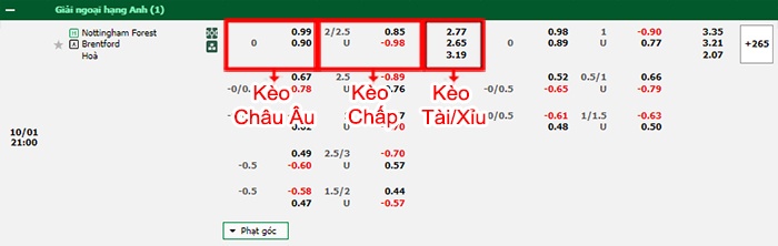 bảng kèo trận đấu Nottingham vs Brentford