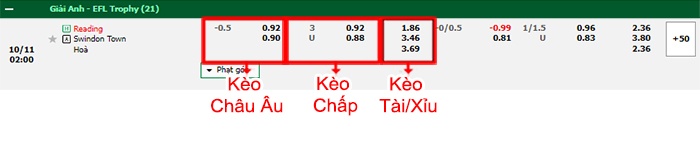 bảng kèo trận đấu Reading vs Swindon