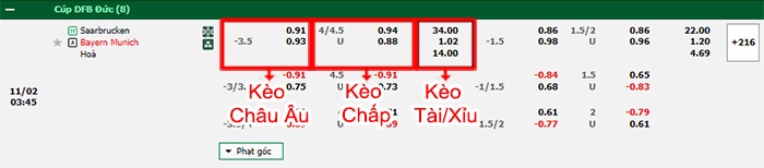 bảng kèo trận đấu Saarbrucken vs Bayern Munich