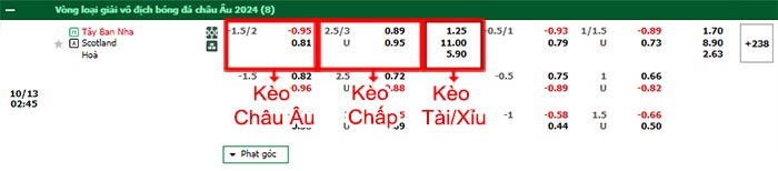 bảng kèo trận đấu Tây Ban Nha vs Scotland