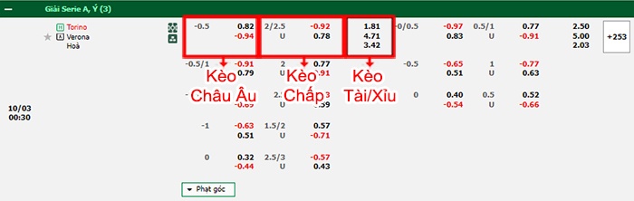 bảng kèo trận đấu Torino vs Hellas Verona