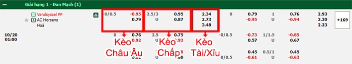 bảng kèo trận đấu Vendsyssel vs AC Horsens