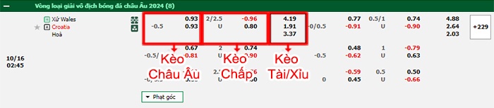 bảng kèo trận đấu Wales vs Croatia
