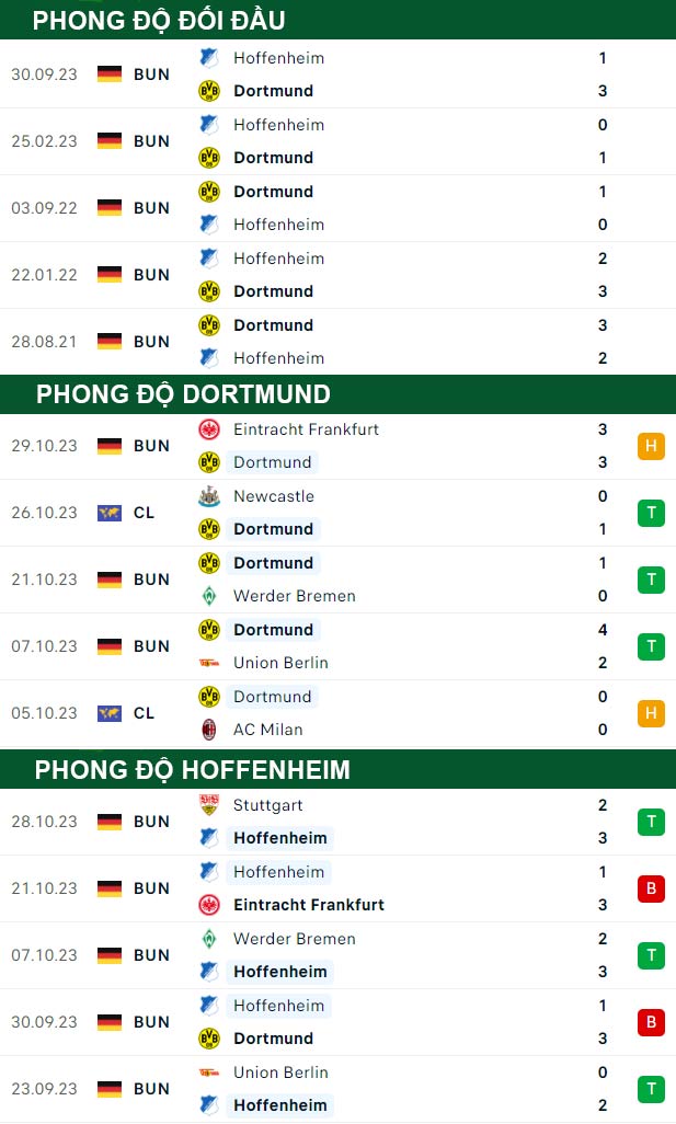 thông số đối đầu trận đấu Dortmund vs Hoffenheim