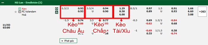 bảng kèo trận đấu Ajax vs Volendam