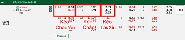 bảng kèo trận đấu Atalanta vs Sporting Lisbon
