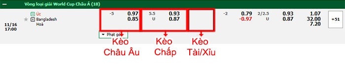 bảng kèo trận đấu Australia vs Bangladesh