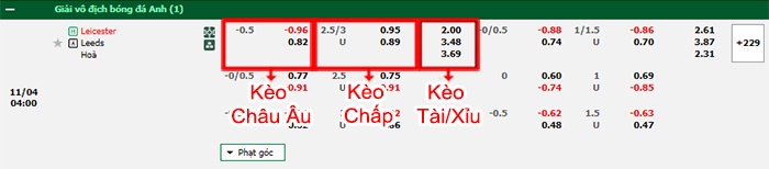 bảng kèo trận đấu Leicester vs Leeds