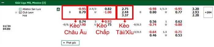 bảng kèo trận đấu San Luis vs Club Leon