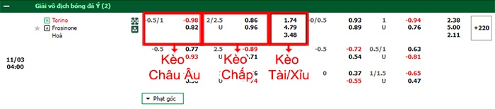 bảng kèo trận đấu Torino vs Frosinone