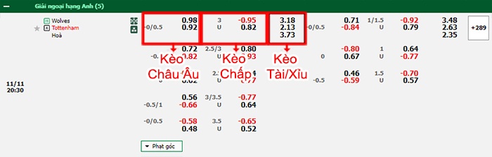bảng kèo trận đấu Wolves vs Tottenham