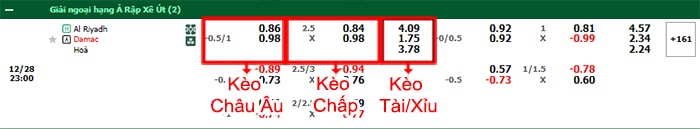bảng kèo trận đấu Al Riyadh vs Damac