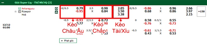 bảng kèo trận đấu Ankaragucu vs Rizespor