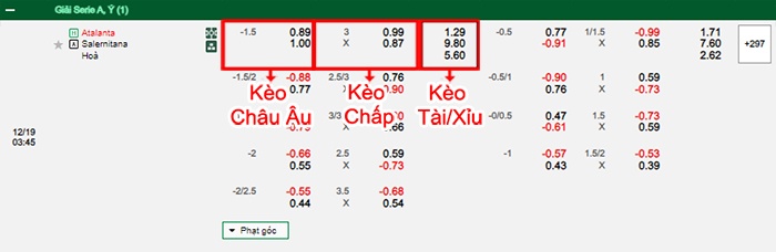 bảng kèo trận đấu Atalanta vs Salernitana